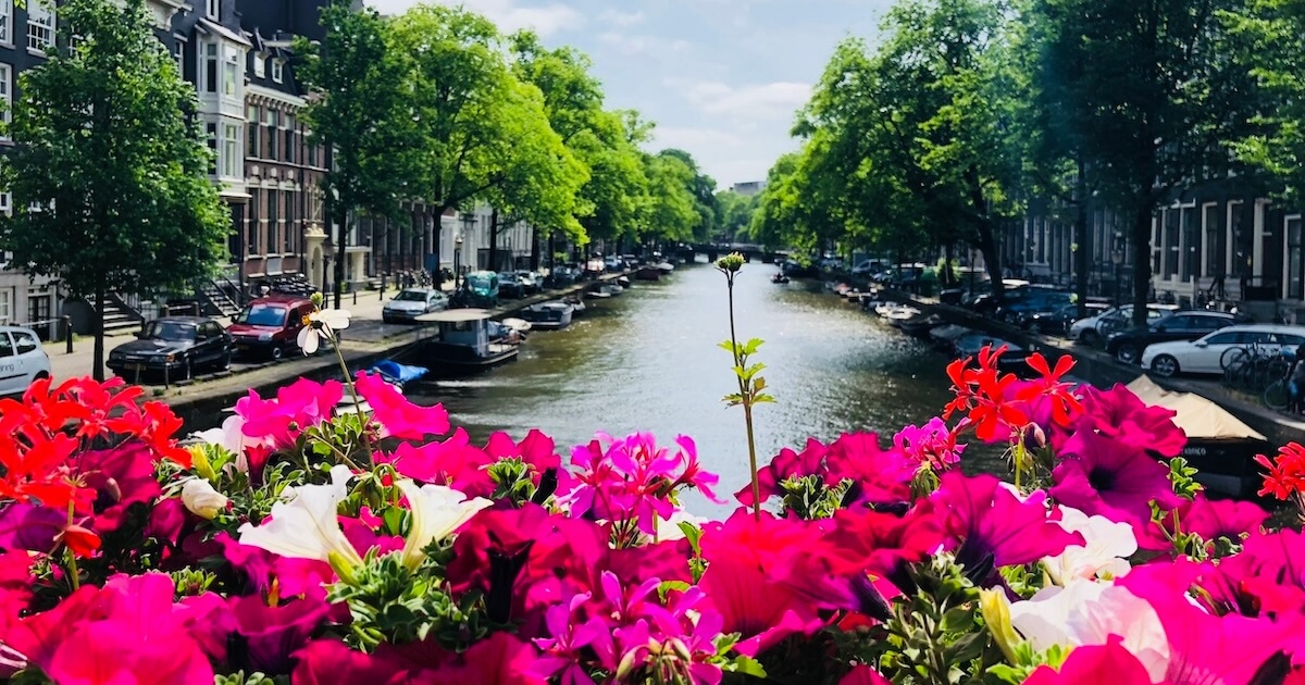 Study Abroad with SHA in Amsterdam